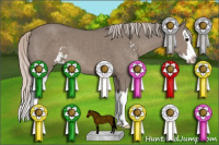 Horse Color:Silver Grullo Sabino Splash