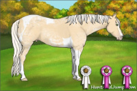 Horse Color:Silver Classic Cream Champagne Ice Sabino Tobiano 
