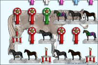 Horse Color:Silver Black Ice Sabino Splash