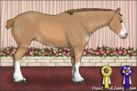 Horse Color:Chestnut Sabino