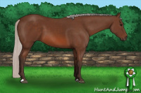 Horse Color:Silver Bay 