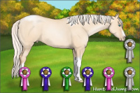 Horse Color:Silver Amber Champagne Pearl Dun Splash Tobiano Frame 