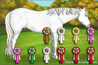 Horse Color:White Spotted Perlino Appaloosa 