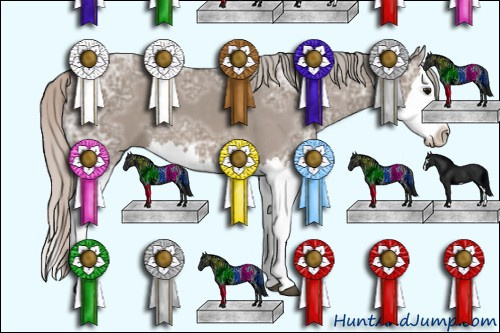 Horse Color: Unknown 