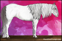 Horse Color:White Spotted Bay Appaloosa