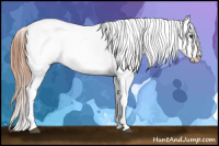 Horse Color:Red Roan Appaloosa