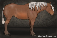 Horse Color:Silver Bay Roan Sabino 