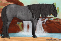 Horse Color:Smoky Blue Roan 