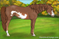 Horse Color:Chestnut Frame 