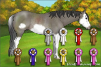 Horse Color:Black Splash Frame Rabicano