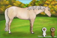 Horse Color:Silver Bay Pearl Dun Sabino