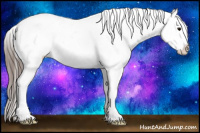 Horse Color:Black Ice Splash Appaloosa