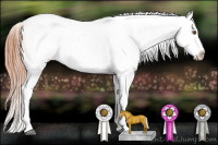 Horse Color:Classic Champagne Dun Appaloosa 