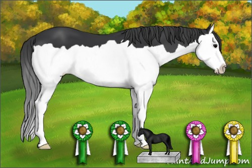 Horse Color: Unknown 