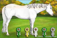 Horse Color:Palomino Roan Pearl Dun Splash 
