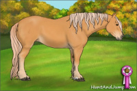 Horse Color:Chocolate Palomino 