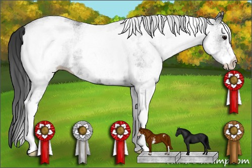 Horse Color: Unknown 