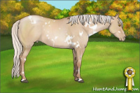 Horse Color:White Spotted Silver Grullo Pearl 