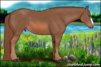 Horse Color:Liver Chestnut 