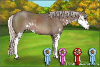 Horse Color:Silver Black Sabino 