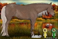 Horse Color:Silver Black Rabicano 