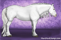 Horse Color:Palomino Varnish 