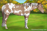Horse Color:White Spotted Classic Champagne 