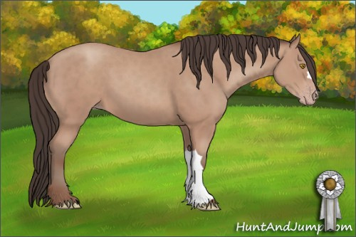 Horse Color: Amber Champagne 
