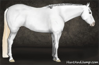 Horse Color:Buckskin Tobiano Blanket 