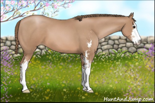 Horse Color: Black Pearl Sabino 