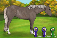 Horse Color:Silver Black Sabino Rabicano 