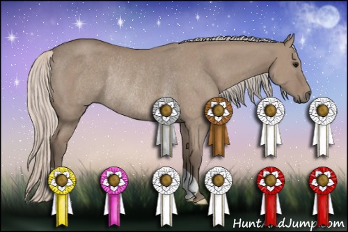 Horse Color: Silver Grullo Rabicano 