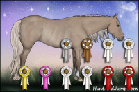 Horse Color:Silver Grullo Rabicano 