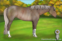 Horse Color:Silver Black Rabicano 
