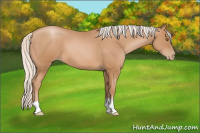 Horse Color:Silver Black Pearl 