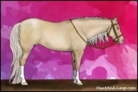 Horse Color:Silver Grullo Pearl 