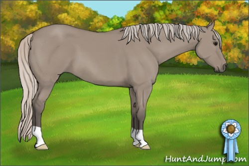 Horse Color: Silver Grullo 