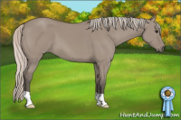 Horse Color:Silver Grullo 