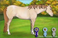 Horse Color:Red Dun Pearl 