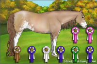 Horse Color:Black Pearl Sabino