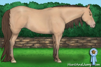 Horse Color:Amber Champagne 