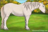 Horse Color:Smoky Creme 