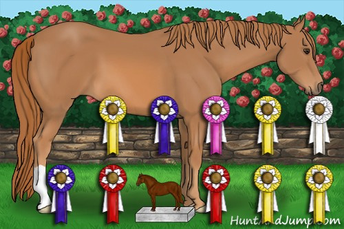 Horse Color: Chestnut 