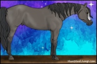 Horse Color:Grullo 
