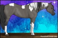 Horse Color:Grullo Tobiano Rabicano 