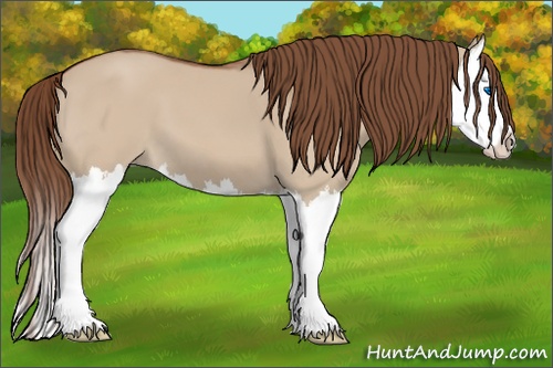 Horse Color: Red Dun Splash 