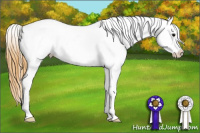 Horse Color:White Spotted Smoky Black Appaloosa 