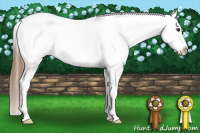 Horse Color:Chestnut Snowcap 