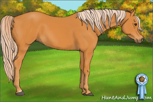 Horse Color: Palomino 