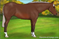 Horse Color:Silver Brown 